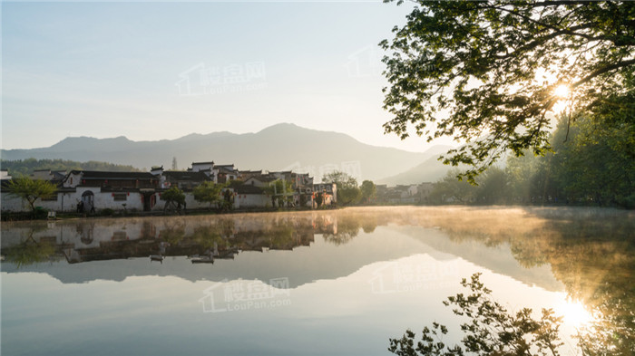 域见揽岳域见揽岳效果图